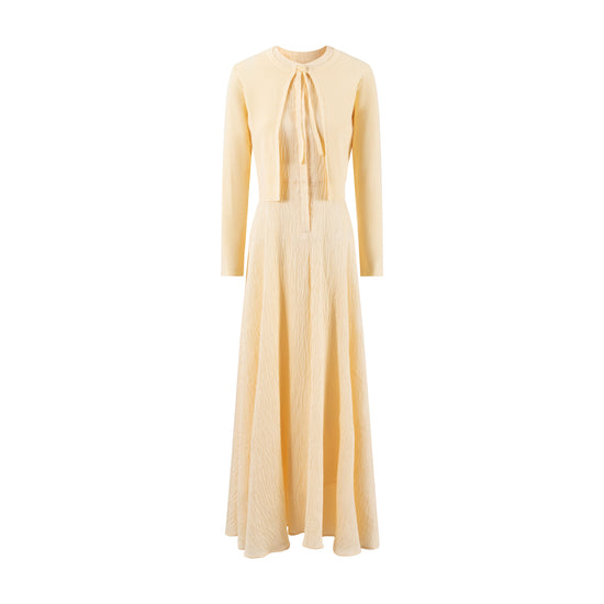 Pale Yellow Overlay Dress