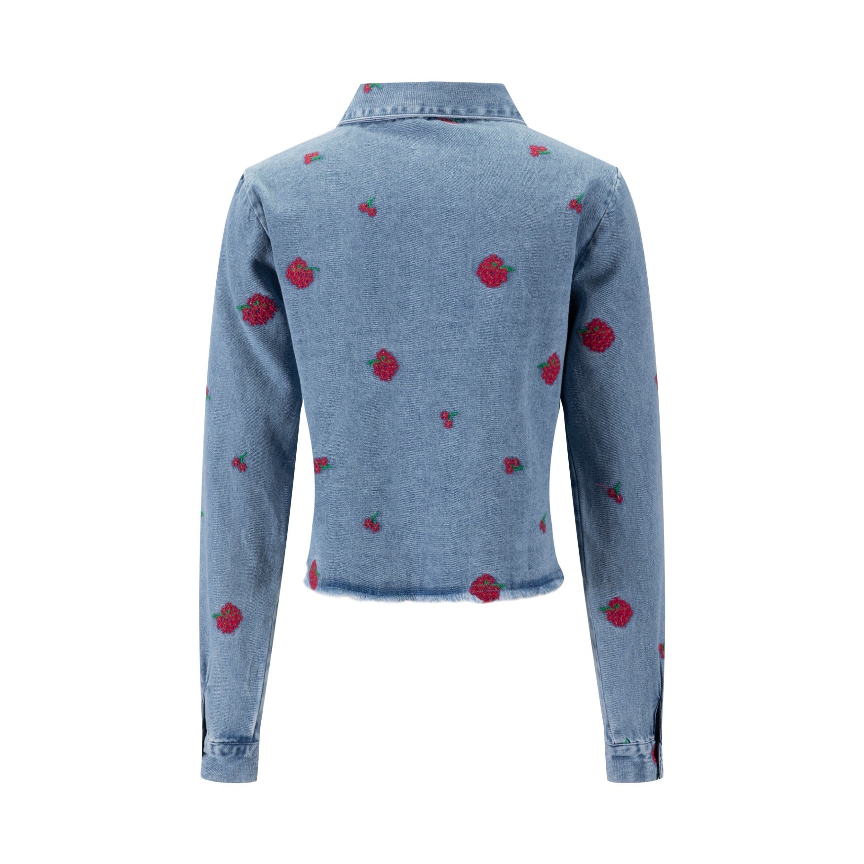 Red Flowers Embroidered Denim Top - Light Blue