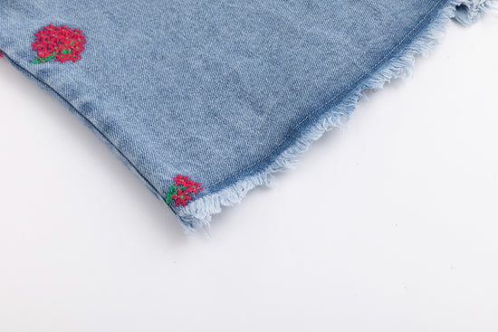 Red Flowers Embroidered Denim Top - Light Blue