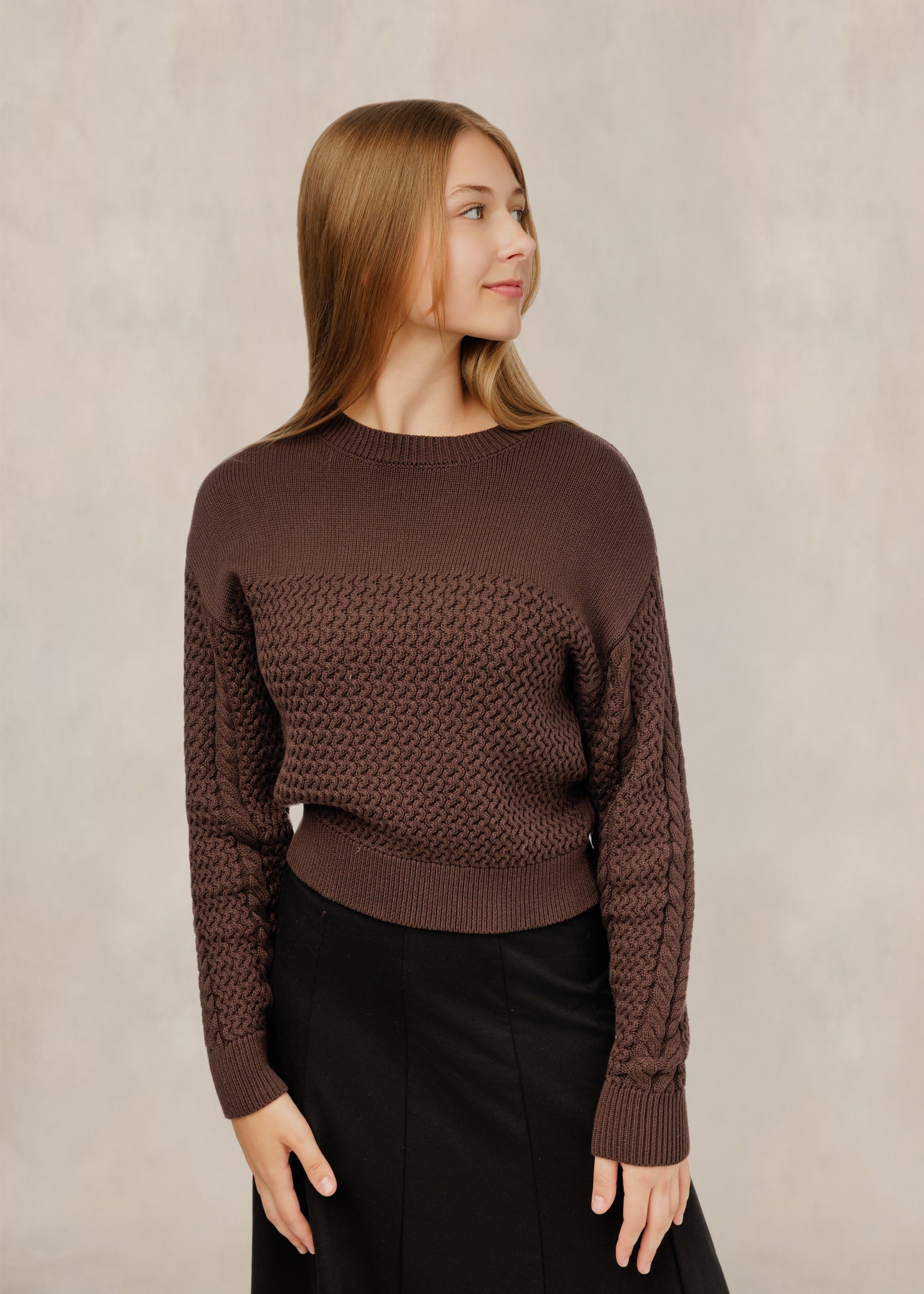 Brown Textured Knit Crew Neck Sweater