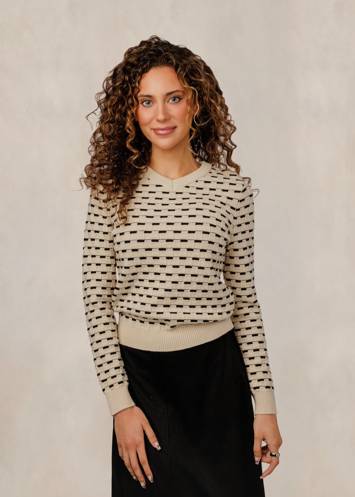 Beige & Black Textured V-Neck Top
