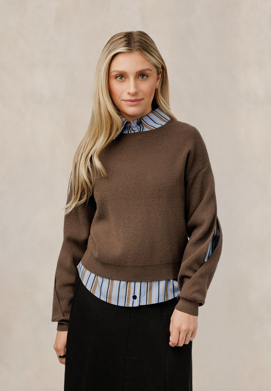 Blue And Brown Striped Blouse With Brown Sweater